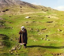 Shepherd, Samarkand, between 1905 and 1915. Creator: Sergey Mikhaylovich Prokudin-Gorsky