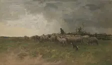 Shepherd with his flock