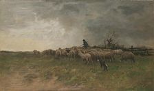 Shepherd with his flock