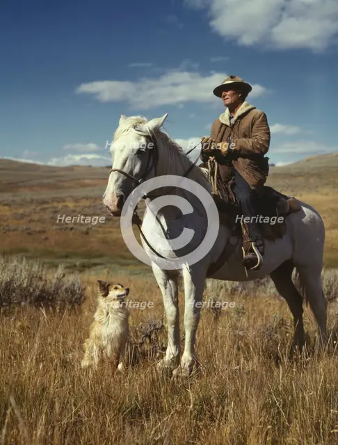 Shepherd with his horse and dog on Gravelly Range, Madison County, Montana, 1942. Creator: Russell Lee.