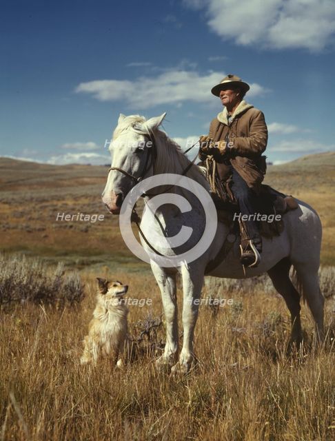 Shepherd with his horse and dog on Gravelly Range, Madison County, Montana, 1942. Creator: Russell Lee.