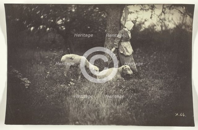 Shepherdess Leaning Against a Tree, with Two Sheep, 1870. Creator: Giraudon's Artist.