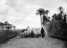 Shepherding sheep near Cairo, Egypt, c1920s
