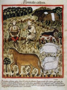 Shepherds and cattle, 14th century. Creator: Unknown