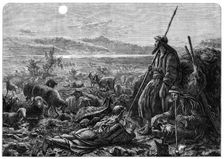 Shepherds watching their flocks by night, drawn by W. J. Webb, 1872. Creator: William Hollidge