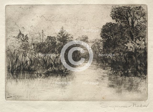 Shere Mill Pond (A Small Study). Creator: Francis Seymour Haden (British, 1818-1910).