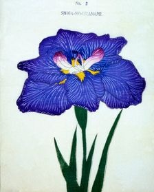 Shiga-No-Uranami, No. 3