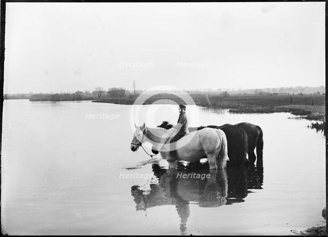 Shiplake, South Oxfordshire, 1885. Creator: Unknown.
