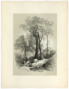 Shipley Bridge, Devon, from Picturesque Selections, 1859. Creator: James Duffield Harding