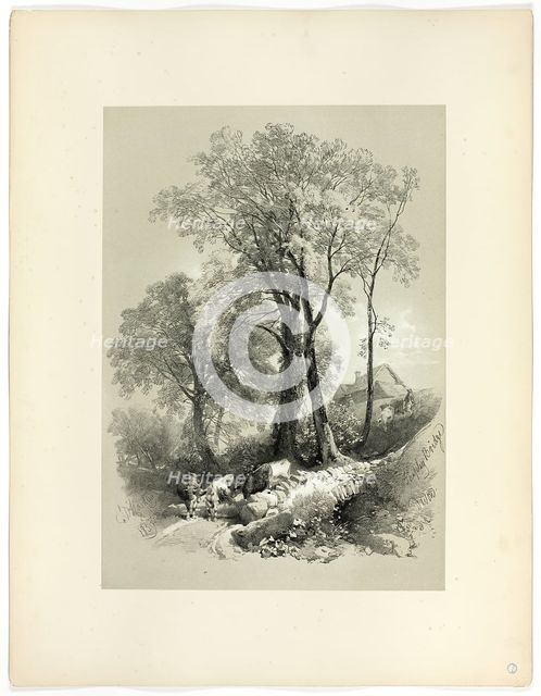 Shipley Bridge, Devon, from Picturesque Selections, 1859. Creator: James Duffield Harding.