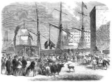 Shipping wild animals in the London Docks, 1864. Creator: Unknown