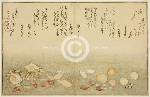 Shiro-gai, namima-gashiwa, makura-gai, iro-gai, aza-gai, sadae-gai, from the illustrated b..., 1789. Creator: Kitagawa Utamaro.