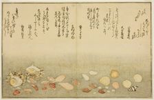 Shiro-gai, namima-gashiwa, makura-gai, iro-gai, aza-gai, sadae-gai, from the illustrated b..., 1789. Creator: Kitagawa Utamaro