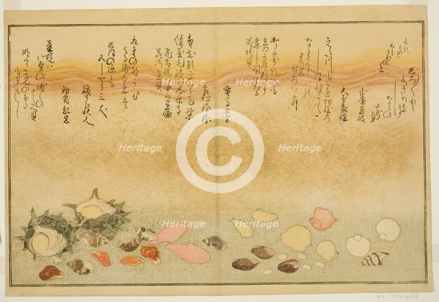 Shiro-gai, namima-gashiwa, makura-gai, iro-gai, aza-gai, sadae-gai, from the illustrated b..., 1789. Creator: Kitagawa Utamaro.