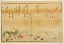 Shiro-gai, namima-gashiwa, makura-gai, iro-gai, aza-gai, sadae-gai, from the illustrated b..., 1789. Creator: Kitagawa Utamaro