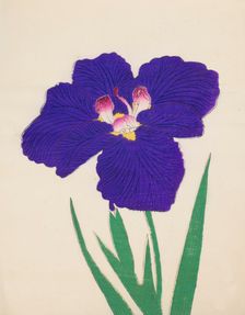 Shira-No-Tamoto, No. 49, 1890, (colour woodblock print)