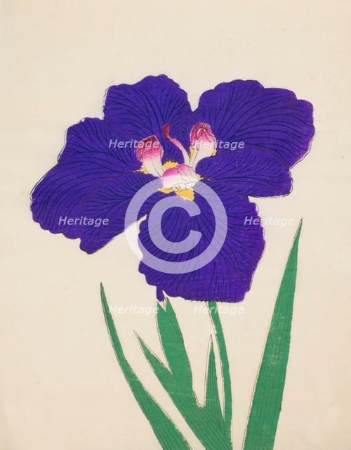 Shira-No-Tamoto, No. 49, 1890, (colour woodblock print)