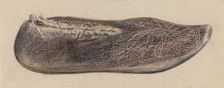 Shoe, 1935/1942. Creator: Melita Hofmann