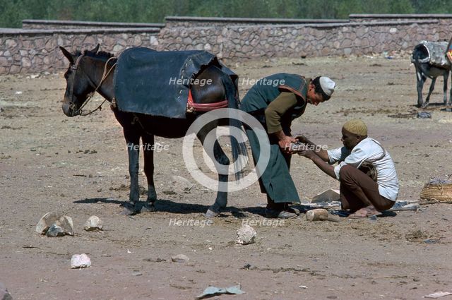 Shoeing of a mule at the Berber market south of Marrakech.