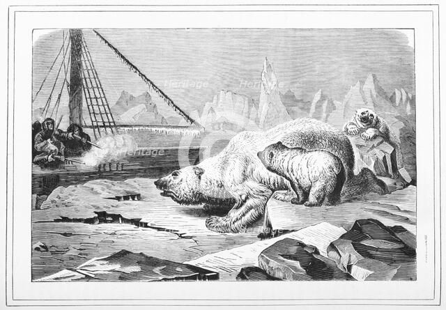 Shooting polar bears, 1880.  Creator: Unknown.