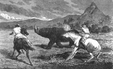 Shooting Rhinoceros; Life in a South African Colony 1875. Creator: Unknown