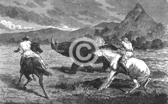 'Shooting Rhinoceros; Life in a South African Colony', 1875. Creator: Unknown.