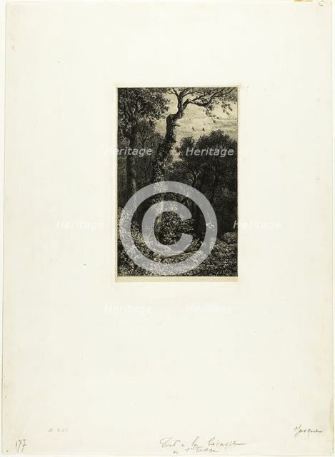 Shooting Woodcock, 1864. Creator: Charles Emile Jacque.