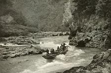 Shooting the Rapids of the Katsura-Gawa 1910. Creator: Herbert Ponting