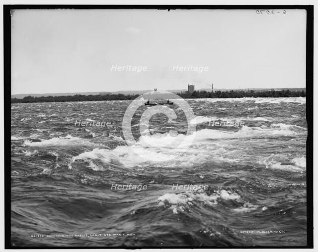 Shooting the rapids, Sault Saint Marie, Mich., (1905?). Creator: Unknown.