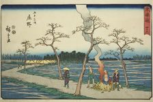 Shono-No. 46, from the series "Fifty-three Stations of the Tokaido (Tokaido gojusan..., c. 1847/52. Creator: Ando Hiroshige