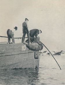 Shore End of a submarine cable is generally laid from a lighter 1937