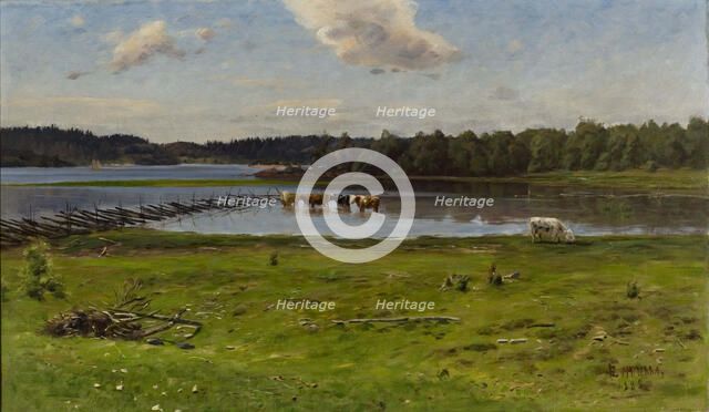 Shore Landscape from Aland, 1888. Creator: Elias Muukka.