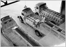 Shoreham Cement Works, Upper Beeding, Horsham, West Sussex, 02/07/1951. Creator: John Laing plc
