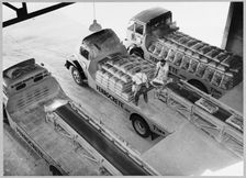 Shoreham Cement Works, Upper Beeding, Horsham, West Sussex, 02/07/1951. Creator: John Laing plc