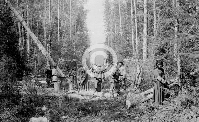Shoria Men and Women Working on Cutting in the Woods, 1913. Creator: GI Ivanov.