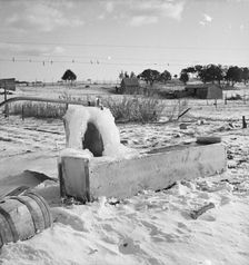 Short growing season, Utah, 1936. Creator: Dorothea Lange