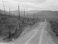Shows character of cut-over area, Bonner County, Idaho, 1939. Creator: Dorothea Lange