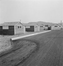 Shows new type of wooden shelter for migratory workers, near McMinnville, Oregon, 1939. Creator: Dorothea Lange