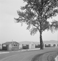 Shows new type of wooden shelter for migratory workers, near McMinnville, Oregon, 1939. Creator: Dorothea Lange