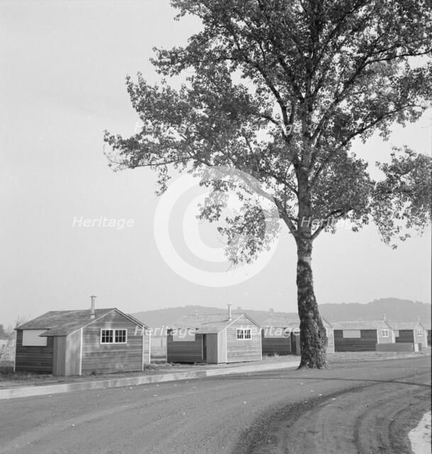 Shows new type of wooden shelter for migratory workers, near McMinnville, Oregon, 1939. Creator: Dorothea Lange.