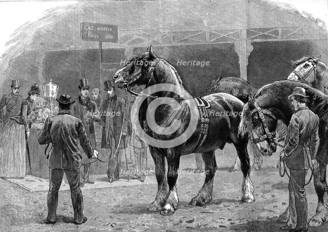 'Show of the Shire Horse Society at the Agricultural Hall, Islington', 1886.   Creator: Unknown.