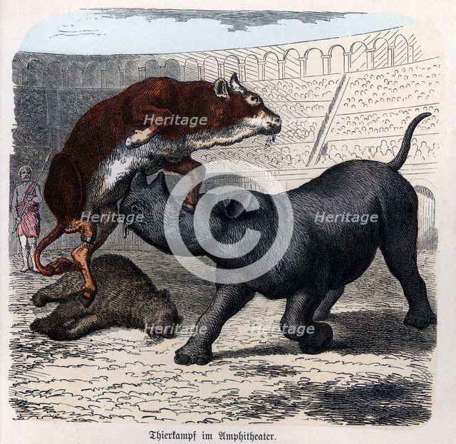 Show of fighting beasts in the Roman circus, engraving 1868.