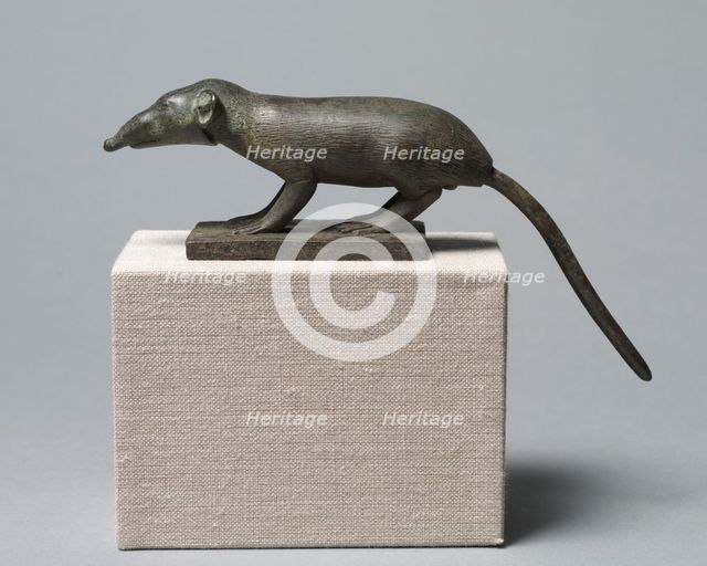 Shrew, 305-30 BC. Creator: Unknown.