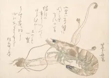 Shrimp and Udo Plant. Creator: Uematsu Toshu