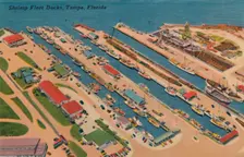 Shrimp Fleet Docks, Tampa, Florida 1940s