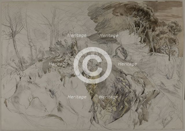 Shrubs and Trees in Rocky Landscape, c. 1845. Creator: John Ruskin.
