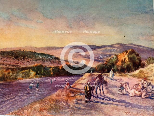 'Site of the Ancient City of Samaria', 1902. Creator: John Fulleylove.