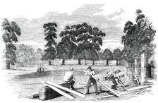 Site of the Building of the Great Exhibition of 1851, 1850. Creator: Unknown