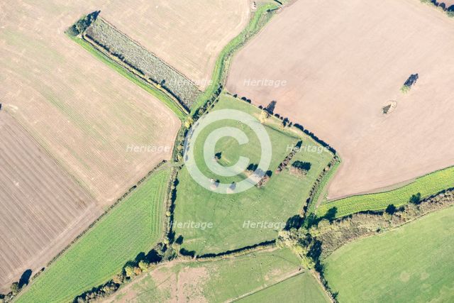 Site of St Andrews College and moat earthwork, Acaster Marshes, North Yorkshire, 2018. Creator: Emma Trevarthen.