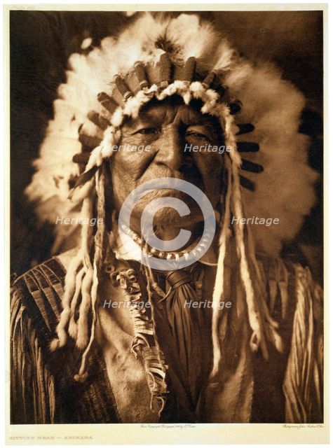 'Sitting Bear - Arikara', 1908. Creator: John Andrew & Son.